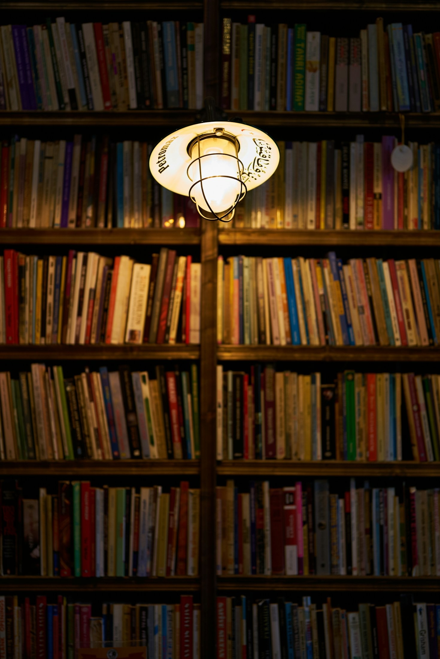 Why Lifelong Learning Matters in Modern Times